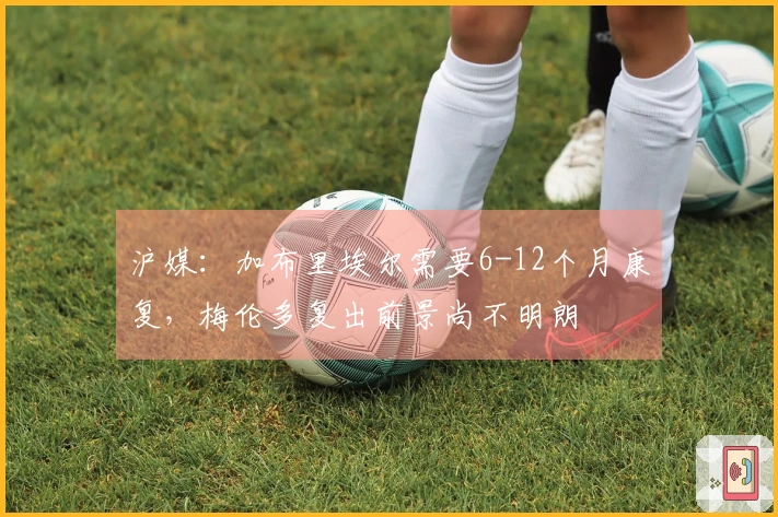 沪媒：加布里埃尔需要6-12个月康复，梅伦多复出前景尚不明朗