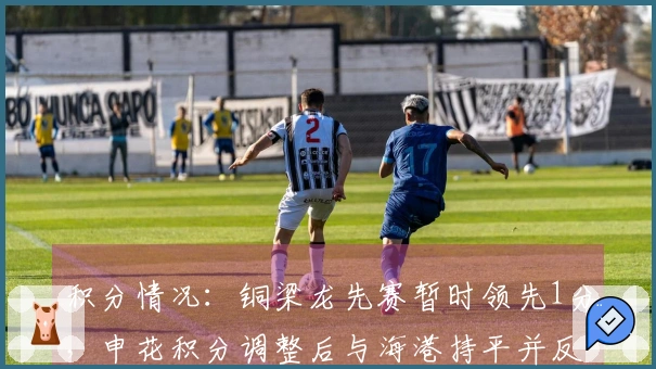 积分情况：铜梁龙先赛暂时领先1分，申花积分调整后与海港持平并反超