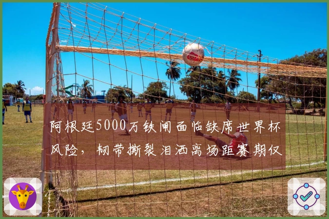 阿根廷5000万铁闸面临缺席世界杯风险，韧带撕裂泪洒离场距赛期仅60天！